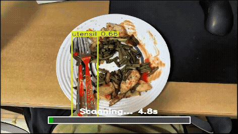 The computer vision model scanning user input and rejecting a tray with a bone.